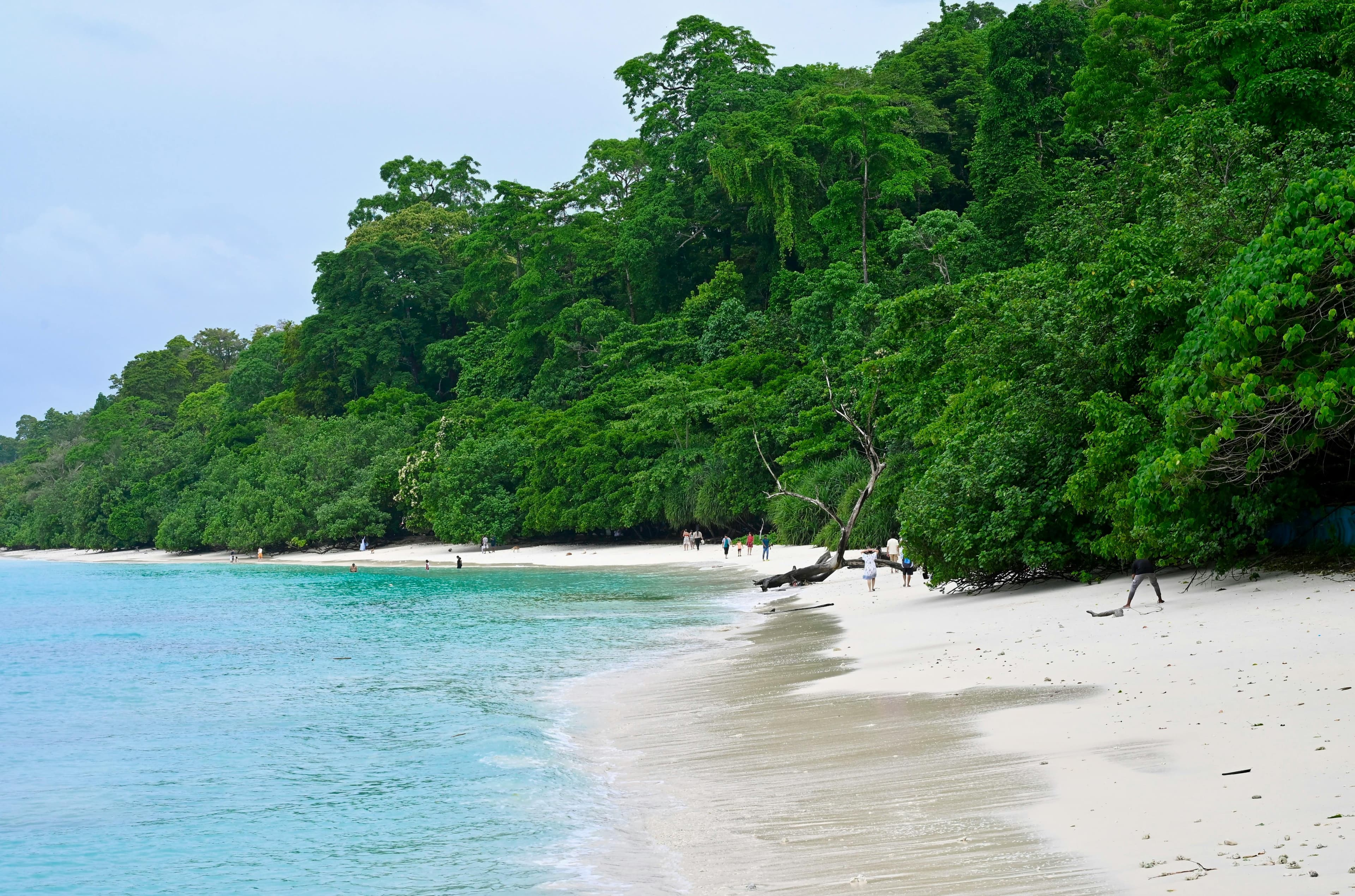 Andaman Escape – The Island Paradise Experience
