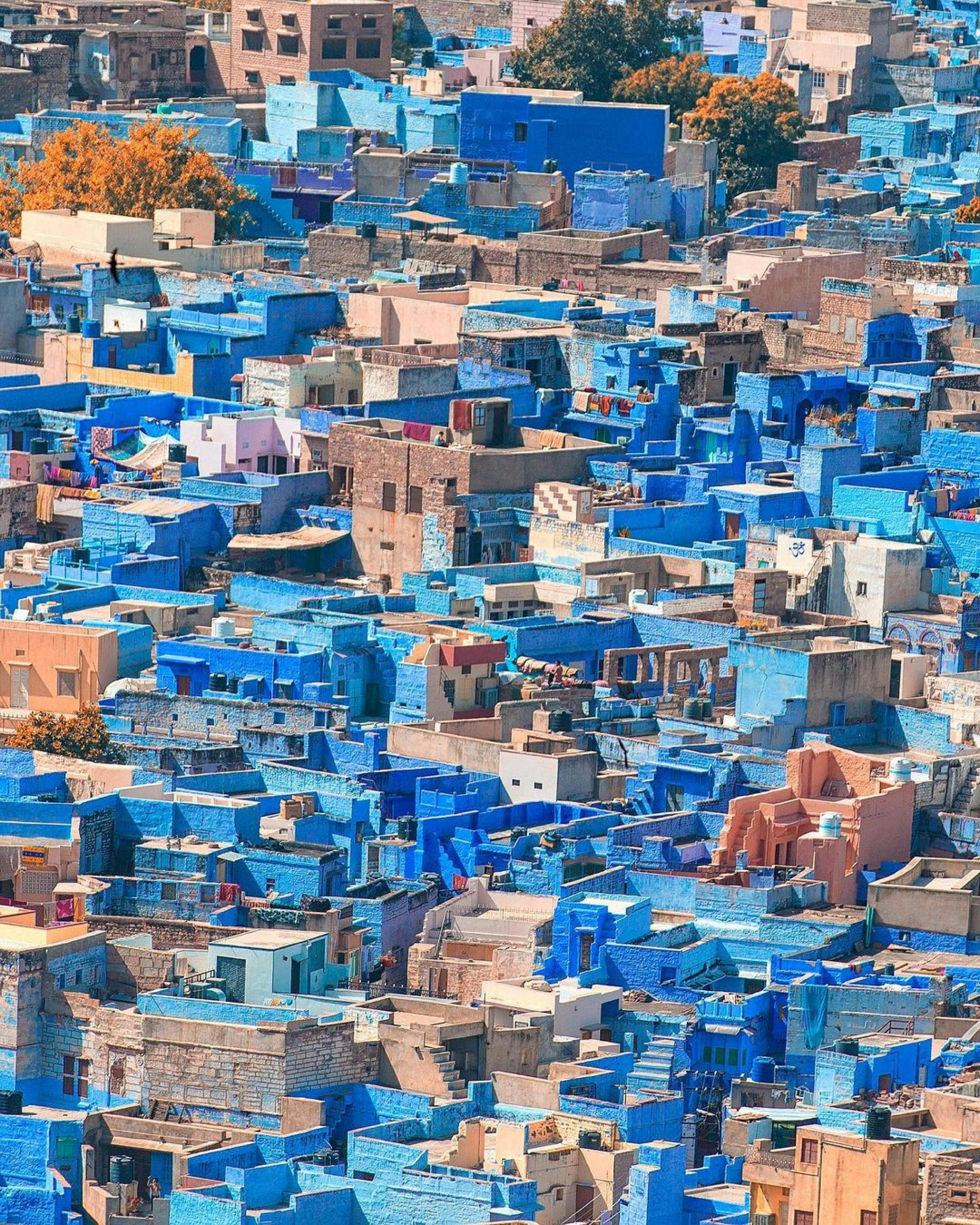 Jodhpur – The Blue City of Rajasthan