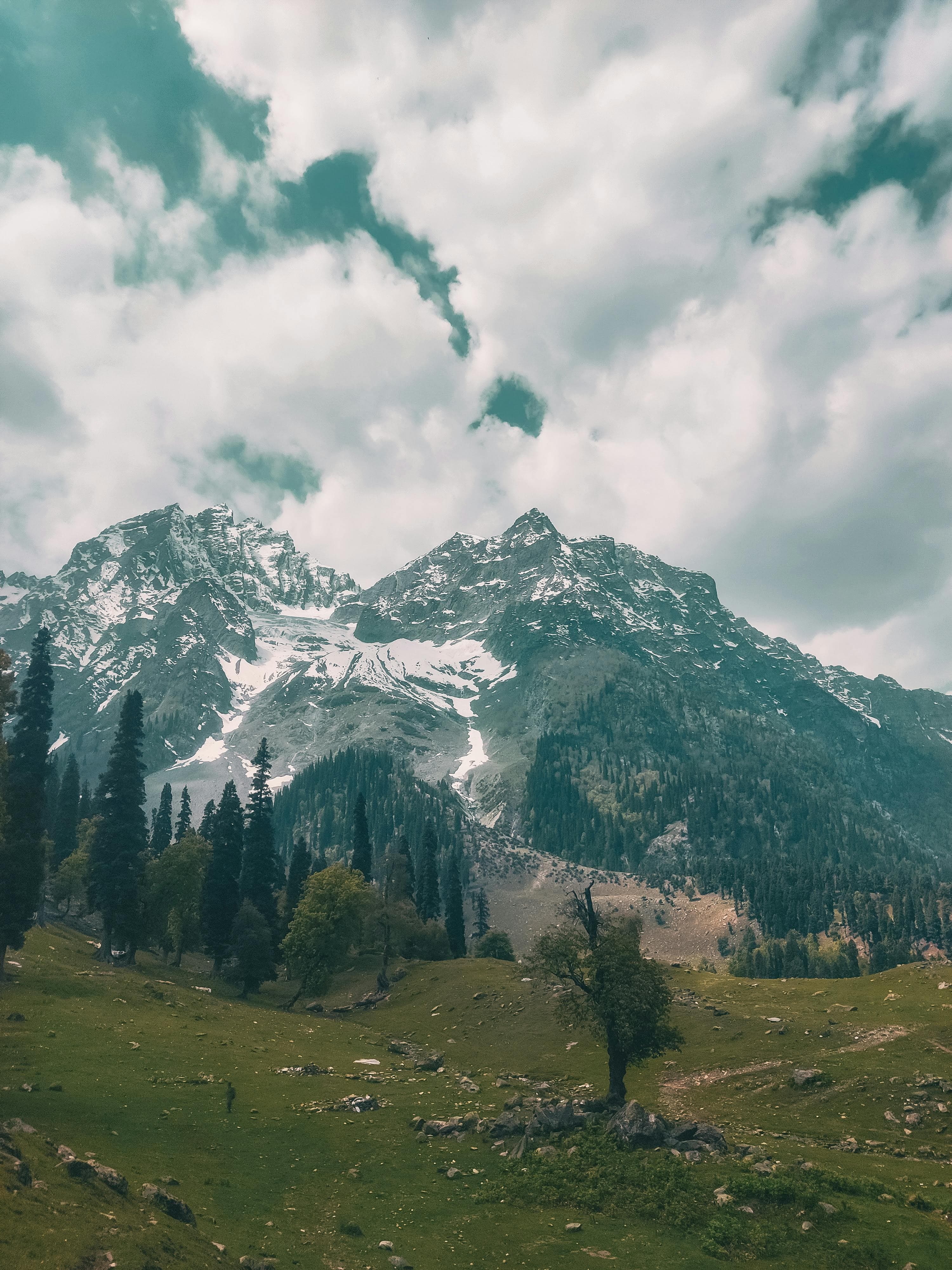 Sonmarg – The Meadow of Gold