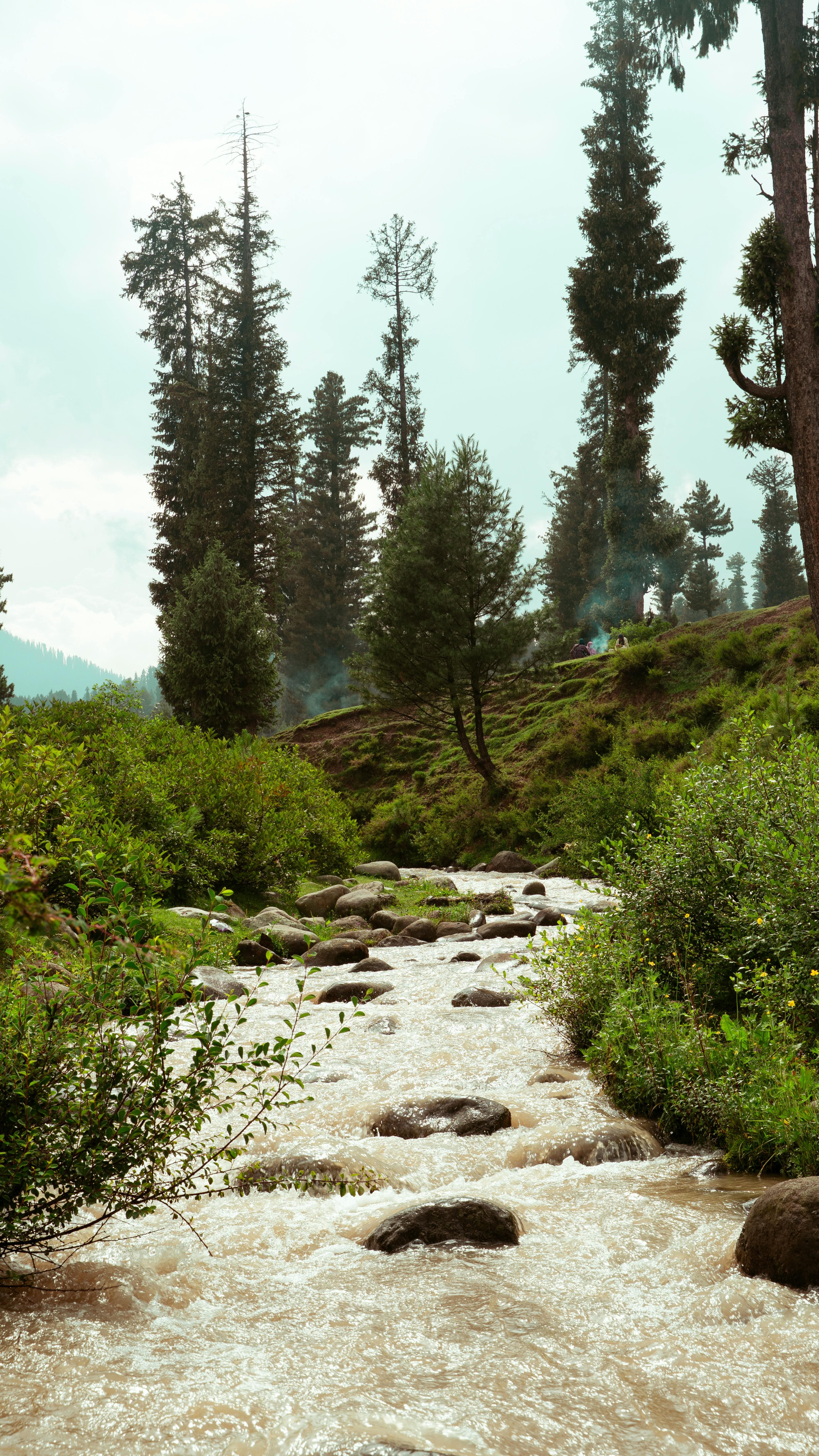 Doodhpathri – The Valley of Milk