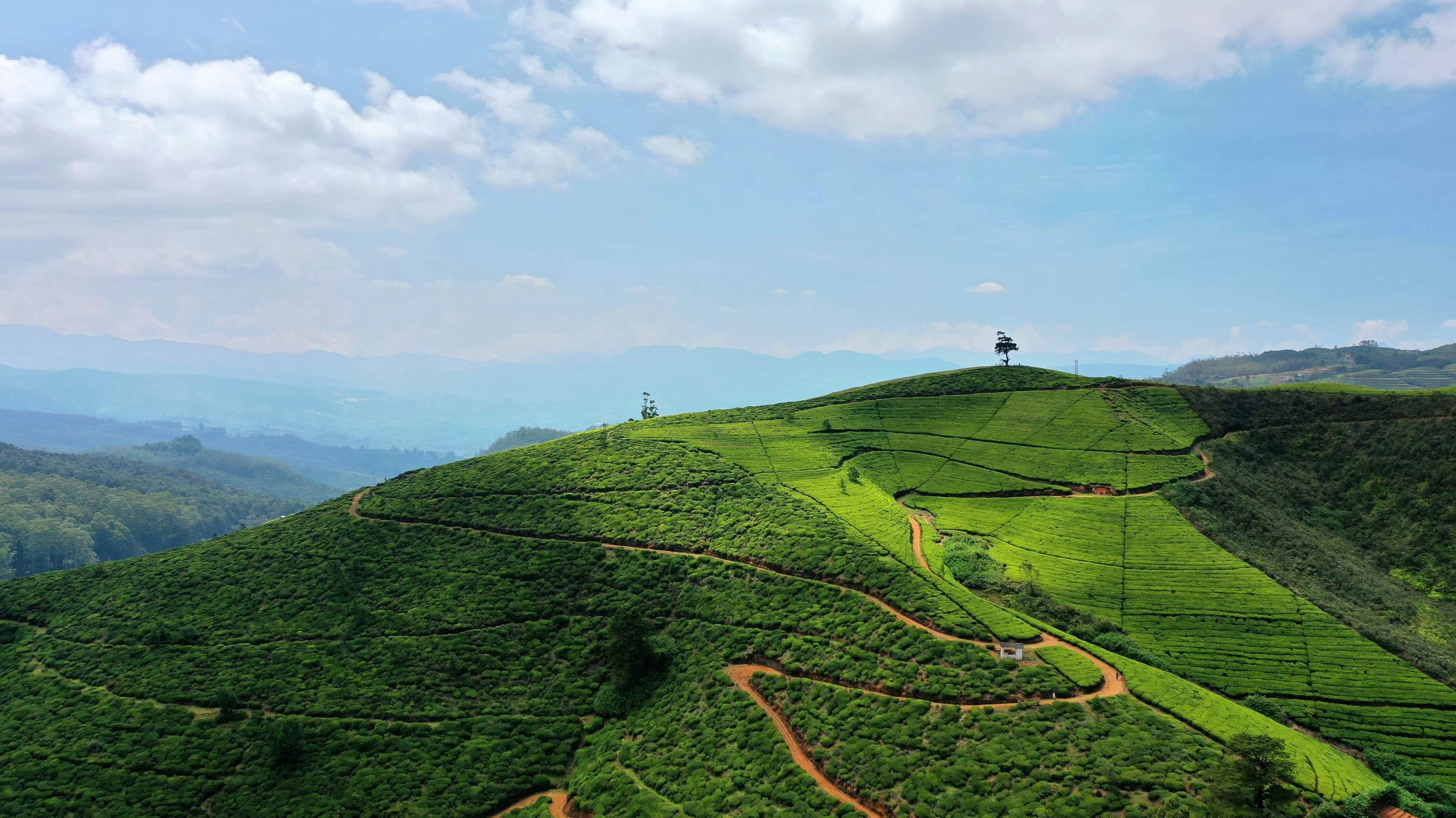Nuwara Eliya – Sri Lanka’s Little England